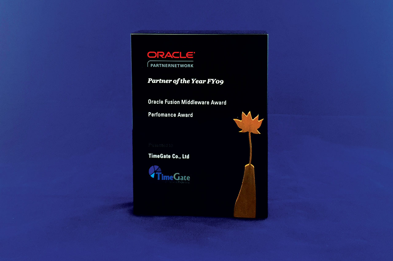Oracle Partner of the Year FY09