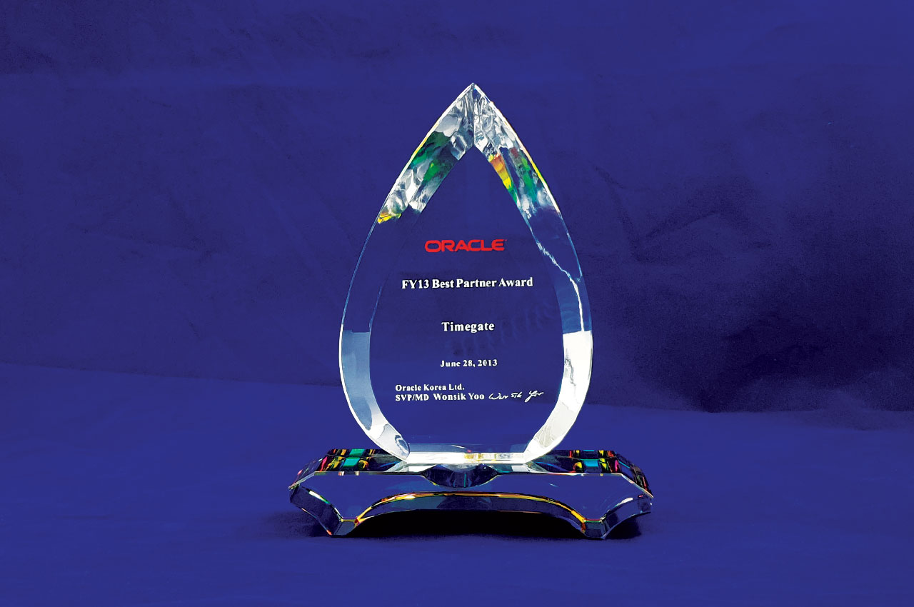 Oracle FY13 Best Partner Award